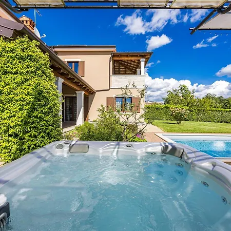 Roza By Briskva Basici