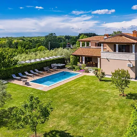 Roza By Briskva Vila Basici